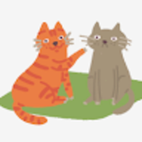 Meet your Posher, Stellaaa - Picture 1 of 1